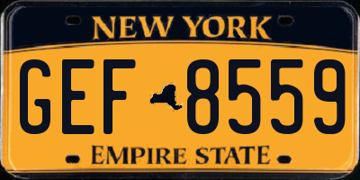 NY license plate GEF8559