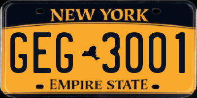 NY license plate GEG3001