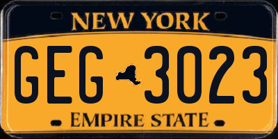 NY license plate GEG3023