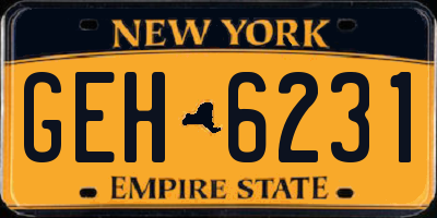 NY license plate GEH6231