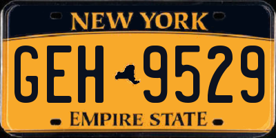 NY license plate GEH9529