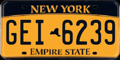 NY license plate GEI6239