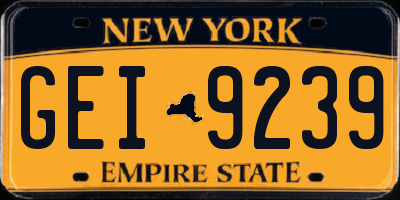 NY license plate GEI9239