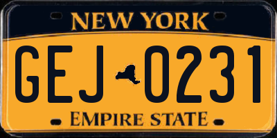 NY license plate GEJ0231