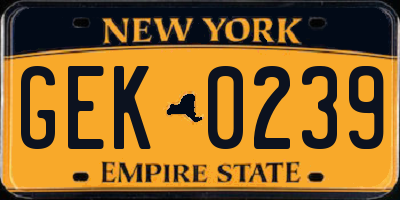 NY license plate GEK0239