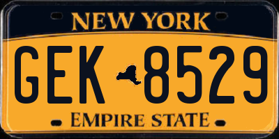 NY license plate GEK8529