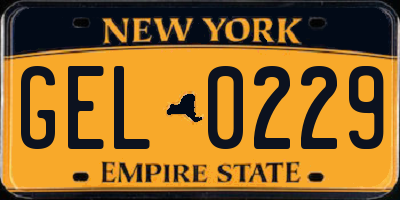 NY license plate GEL0229