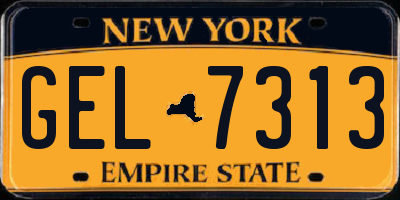 NY license plate GEL7313