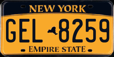 NY license plate GEL8259