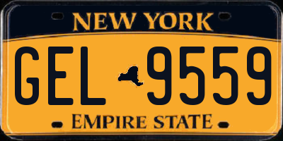 NY license plate GEL9559