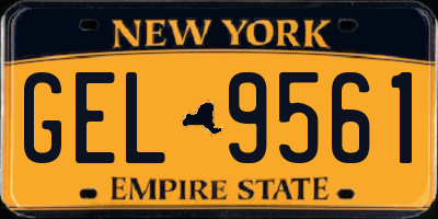 NY license plate GEL9561