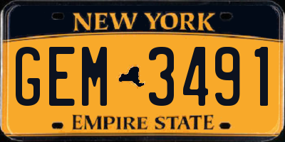 NY license plate GEM3491