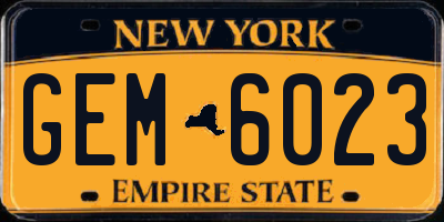 NY license plate GEM6023