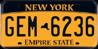 NY license plate GEM6236
