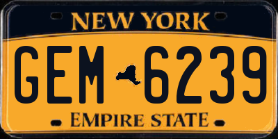 NY license plate GEM6239