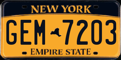 NY license plate GEM7203