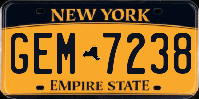 NY license plate GEM7238
