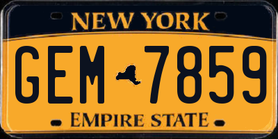 NY license plate GEM7859