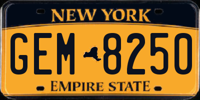 NY license plate GEM8250