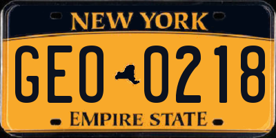 NY license plate GEO0218