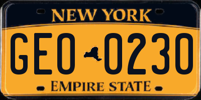 NY license plate GEO0230
