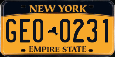NY license plate GEO0231