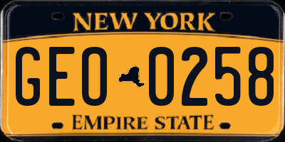 NY license plate GEO0258