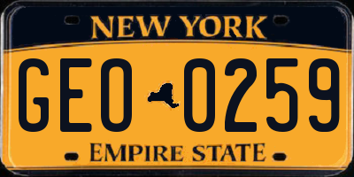 NY license plate GEO0259
