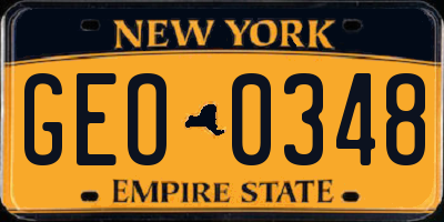 NY license plate GEO0348