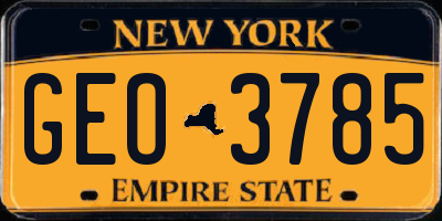 NY license plate GEO3785