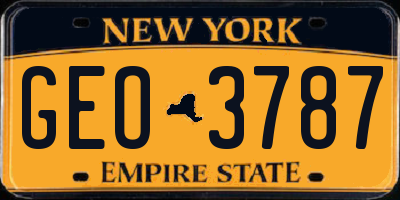 NY license plate GEO3787