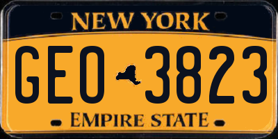 NY license plate GEO3823