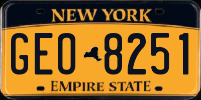 NY license plate GEO8251