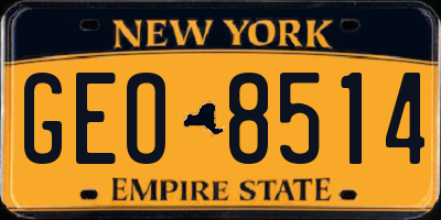 NY license plate GEO8514