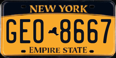 NY license plate GEO8667