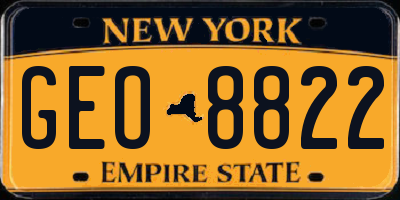 NY license plate GEO8822