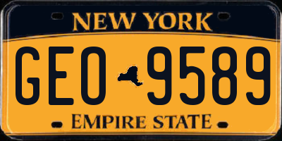 NY license plate GEO9589