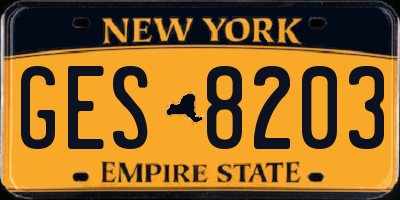 NY license plate GES8203