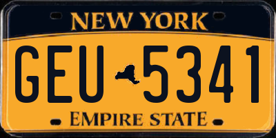 NY license plate GEU5341