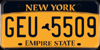 NY license plate GEU5509
