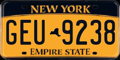 NY license plate GEU9238