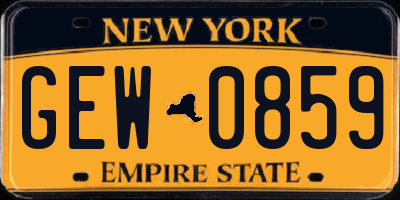 NY license plate GEW0859