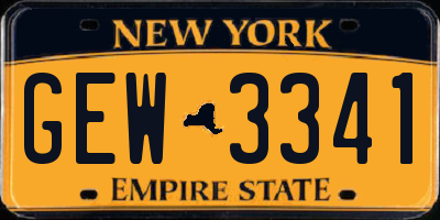 NY license plate GEW3341