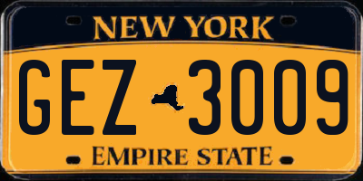 NY license plate GEZ3009