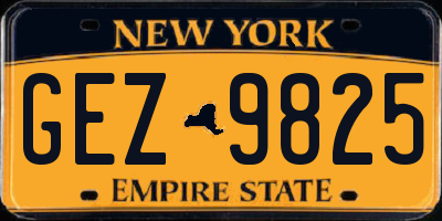 NY license plate GEZ9825