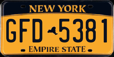 NY license plate GFD5381