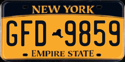 NY license plate GFD9859