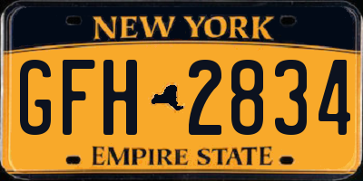 NY license plate GFH2834