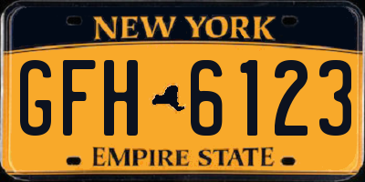 NY license plate GFH6123