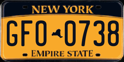 NY license plate GFO0738